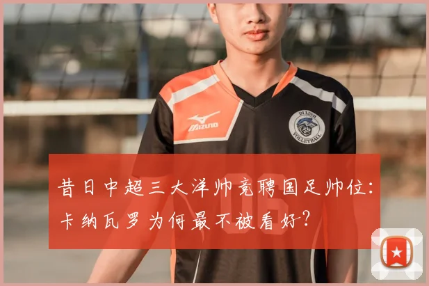 昔日中超三大洋帅竞聘国足帅位:卡纳瓦罗为何最不被看好?